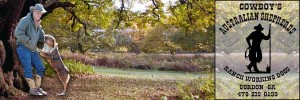 large-oak-tree